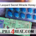 Leopard Secret Miracle Honey new02